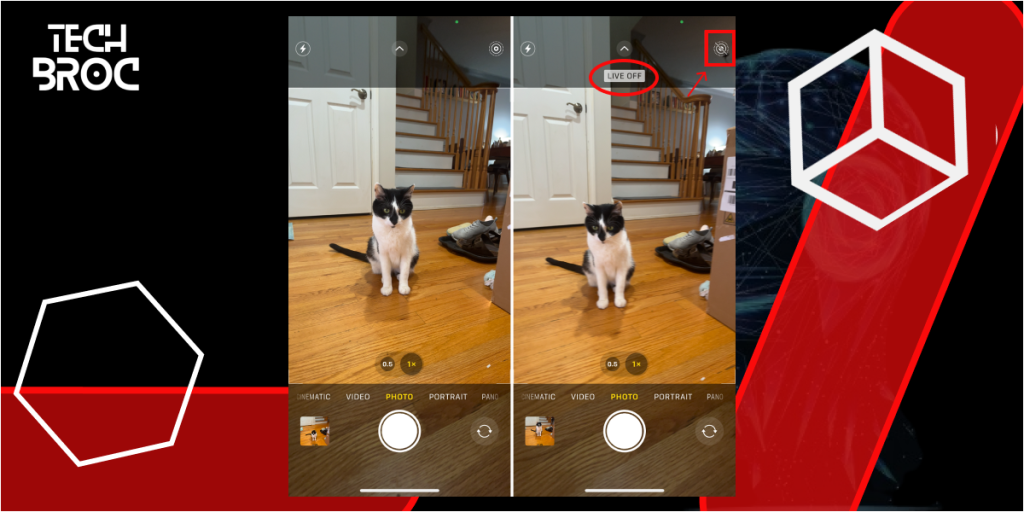 Disable Live Photos to avoid blurry photos from iPhone